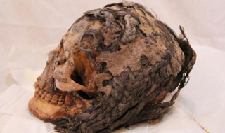 Illustration for article titled Skull Of 3,300 Year-Old Egyptian Woman Found With Hair Extensions